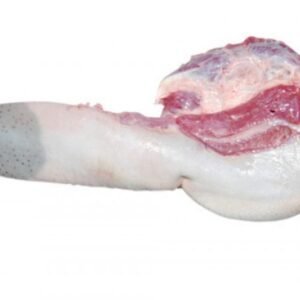 Buy Frozen Beef Tongue