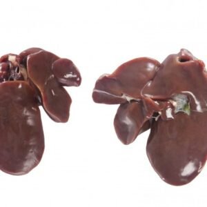 Buy Frozen Chicken Liver