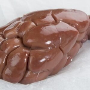 Buy Frozen Veal Kidney