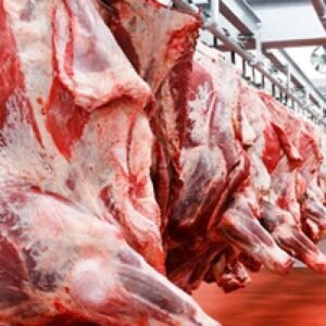 Buy Fresh-Frozen Beef Whole Carcass