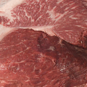 Buy Frozen Beef Knuckles