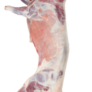 Buy Fresh Frozen Goat Meat Carcass