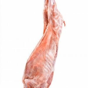 Buy Fresh Whole Lamb Carcass