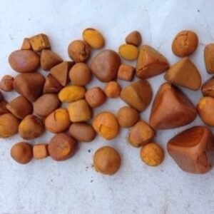 Buy Ox Cow Gallstones